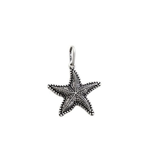 Produto Pingente estrela do mar prata 925 envelhecida bali 15mm