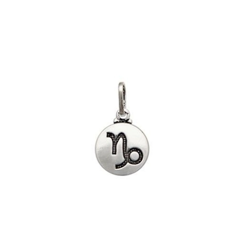 Produto Pingente signo Capricórnio Prata 925