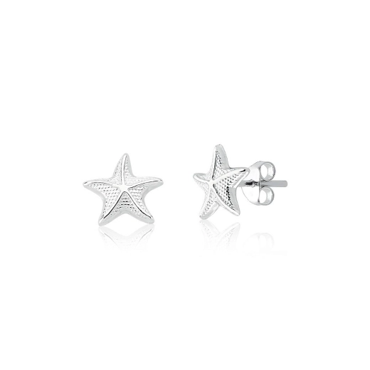 Produto Brinco estrela do mar prata 925 10mm